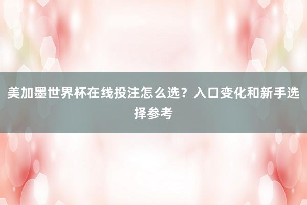 美加墨世界杯在线投注怎么选？入口变化和新手选择参考